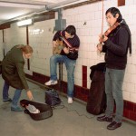 Primer Ensayo